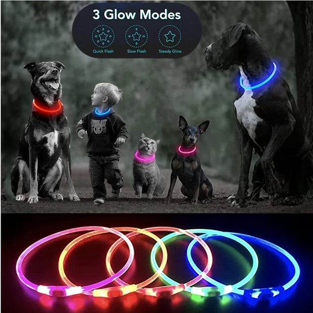 LED Glowing USB Rechargeable Light-Up Safety Pet Collar Necklace