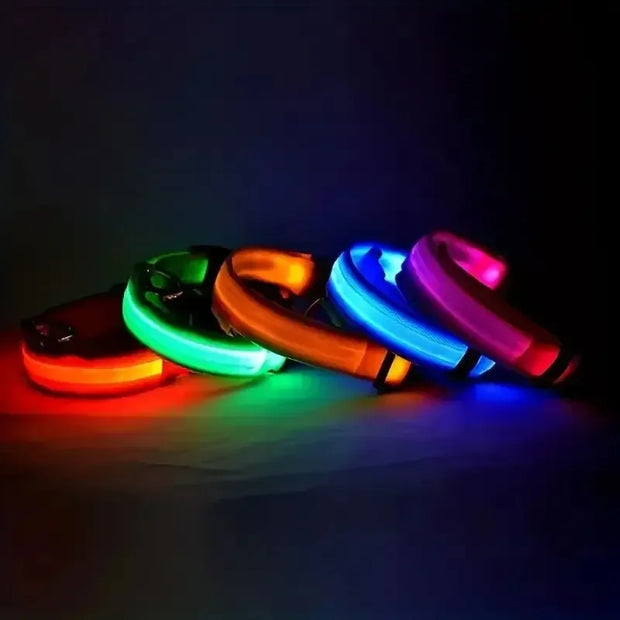 Light-Up Safety Collar for Night Walks Dog Collar