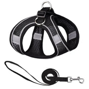 Breathable Adjustable Outdoor Walking Mesh Dog Harness Vest Set