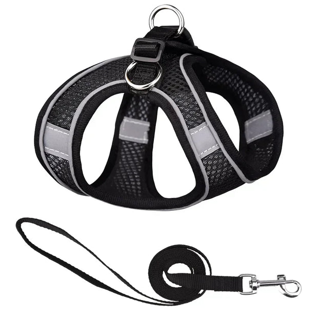 Breathable Adjustable Outdoor Walking Mesh Dog Harness Vest Set