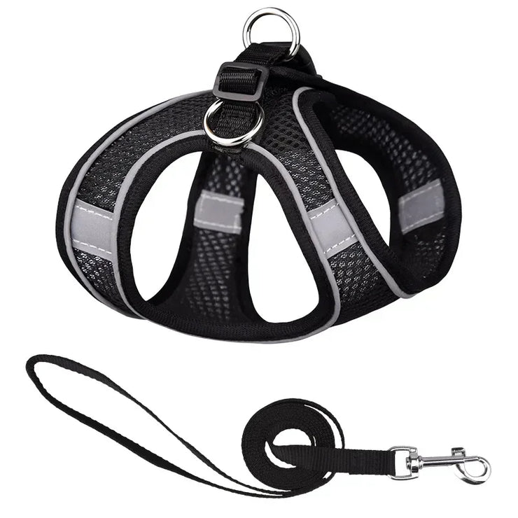 Mesh Dog Harness & Leash Set