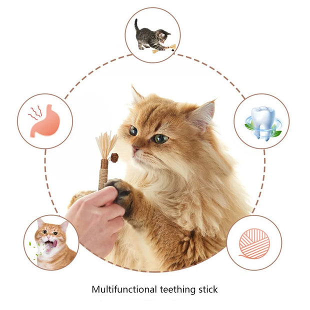3pcs Silvervine Cat Chew Sticks Natural Catnip Molar Toys