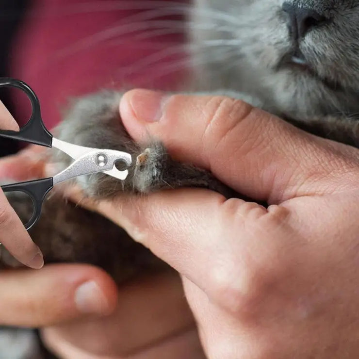 Pro Pet Nail Clippers
