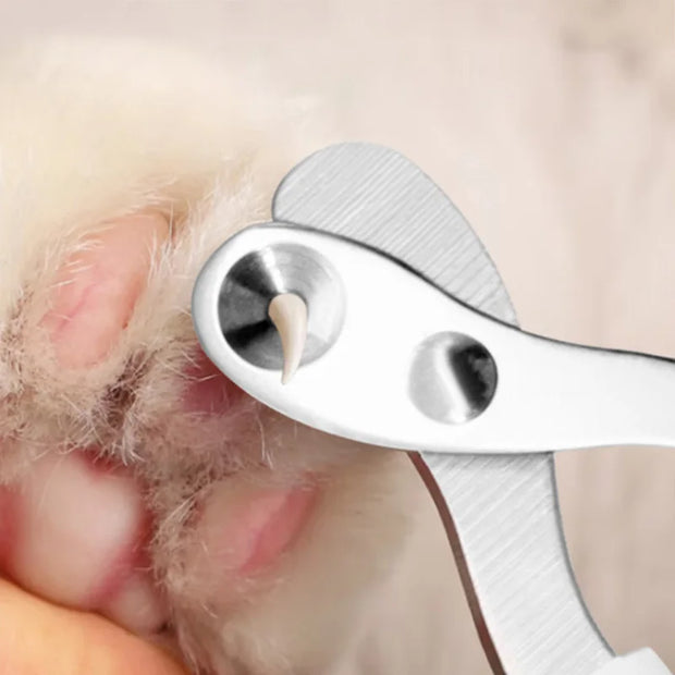 Professional Pet Nail Clippers Grooming Scissors