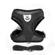 Breathable Pet Harness & Leash Adjustable Vest  Set