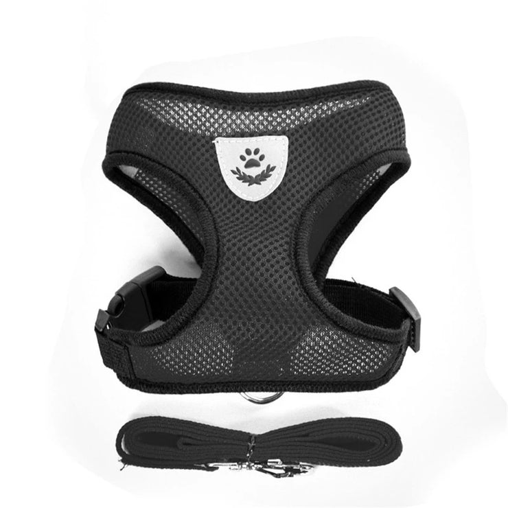 Pet Harness & Leash Set