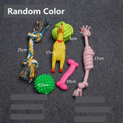Dog Squeaky Plush, Chew Rope & Ball Toys set