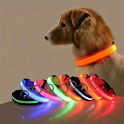 Light-Up Safety Collar for Night Walks Dog Collar