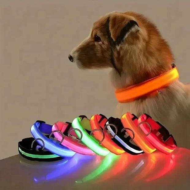 Light-Up Safety Collar for Night Walks Dog Collar