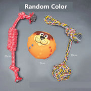 Dog Squeaky Plush, Chew Rope & Ball Toys set