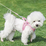 Breathable Adjustable Outdoor Walking Mesh Dog Harness Vest Set