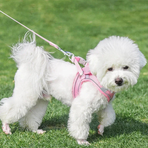 Breathable Adjustable Outdoor Walking Mesh Dog Harness Vest Set