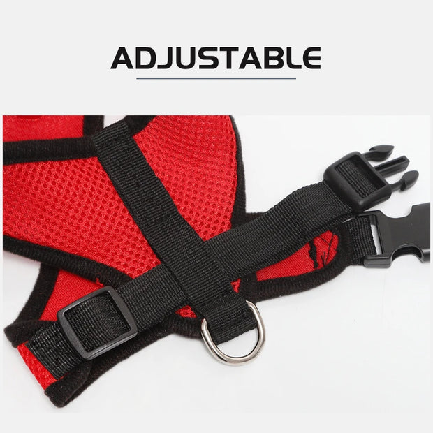 Breathable Pet Harness & Leash Adjustable Vest  Set