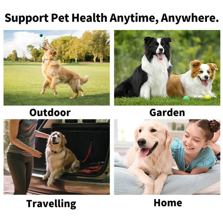 Petopia Haven Dental Wipes ™ The #1 Alternative to brushing