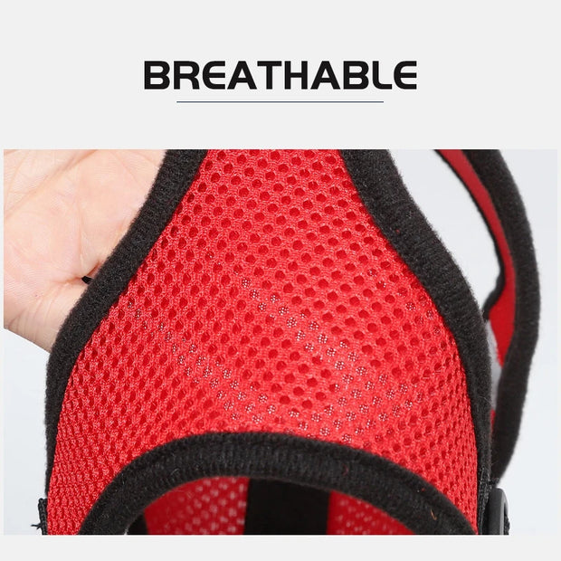 Breathable Pet Harness & Leash Adjustable Vest  Set