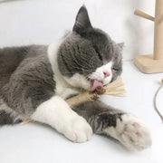 3pcs Silvervine Cat Chew Sticks Natural Catnip Molar Toys