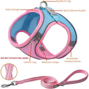 Breathable Adjustable Outdoor Walking Mesh Dog Harness Vest Set