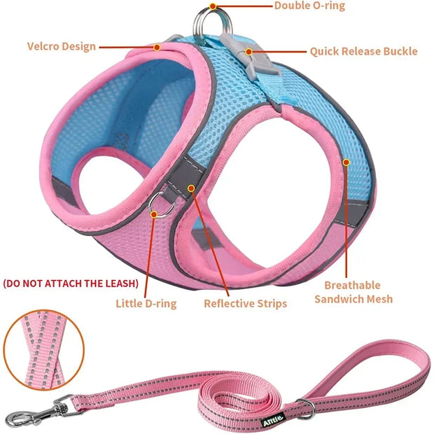 Breathable Adjustable Outdoor Walking Mesh Dog Harness Vest Set