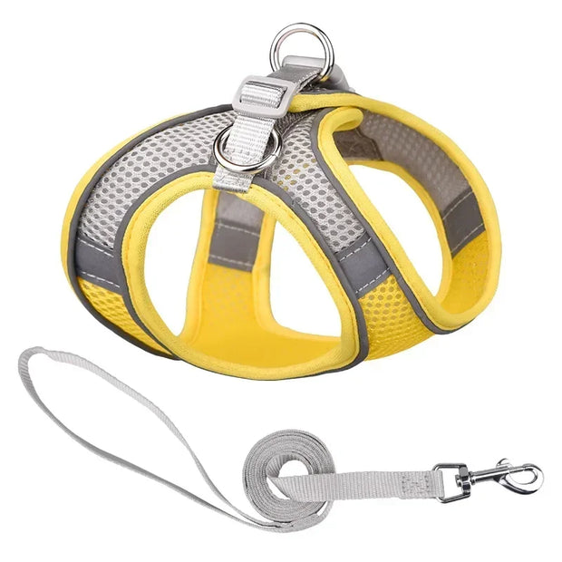 Breathable Adjustable Outdoor Walking Mesh Dog Harness Vest Set