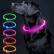 LED Glowing USB Rechargeable Light-Up Safety Pet Collar Necklace