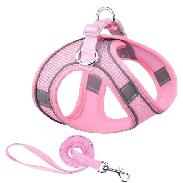 Breathable Adjustable Outdoor Walking Mesh Dog Harness Vest Set
