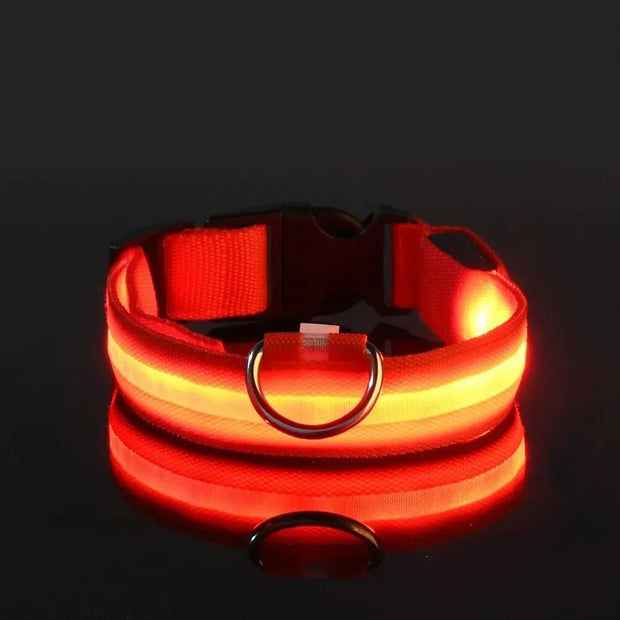 Light-Up Safety Collar for Night Walks Dog Collar