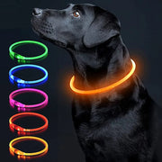 LED Glowing USB Rechargeable Light-Up Safety Pet Collar Necklace