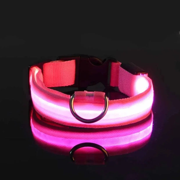 Light-Up Safety Collar for Night Walks Dog Collar
