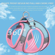 Breathable Adjustable Outdoor Walking Mesh Dog Harness Vest Set